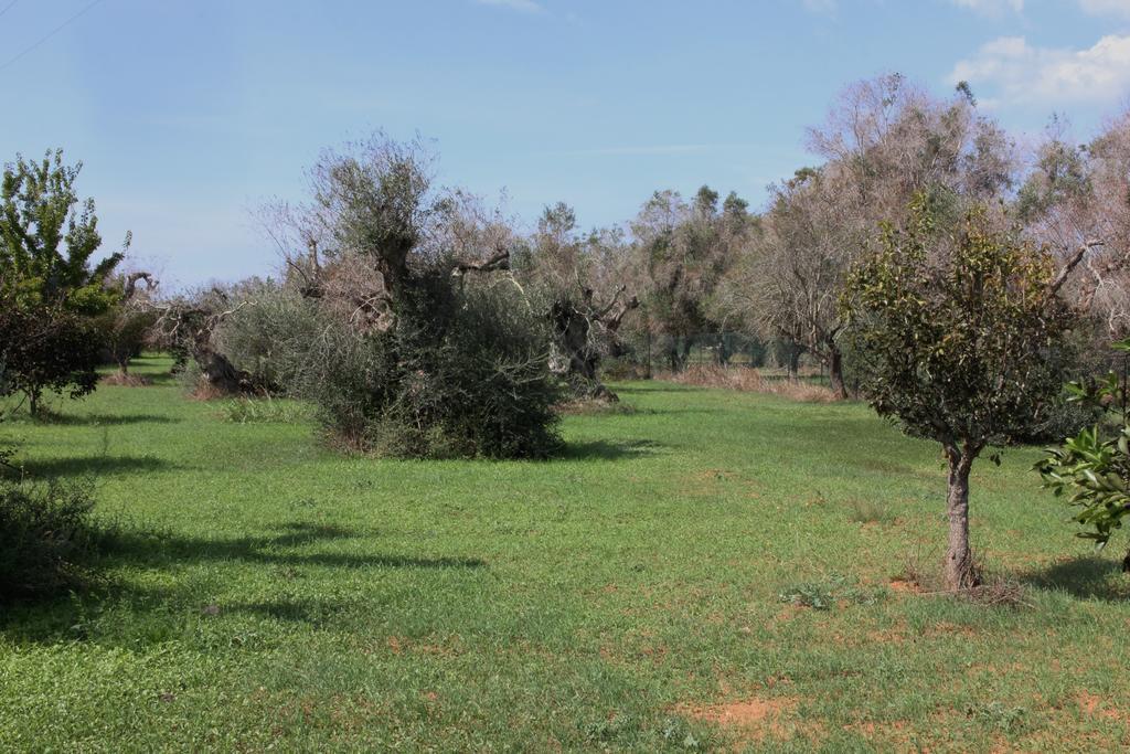 Villa Nanni Gallipoli Buitenkant foto